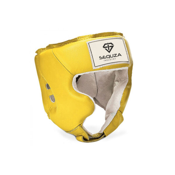 Head Guard