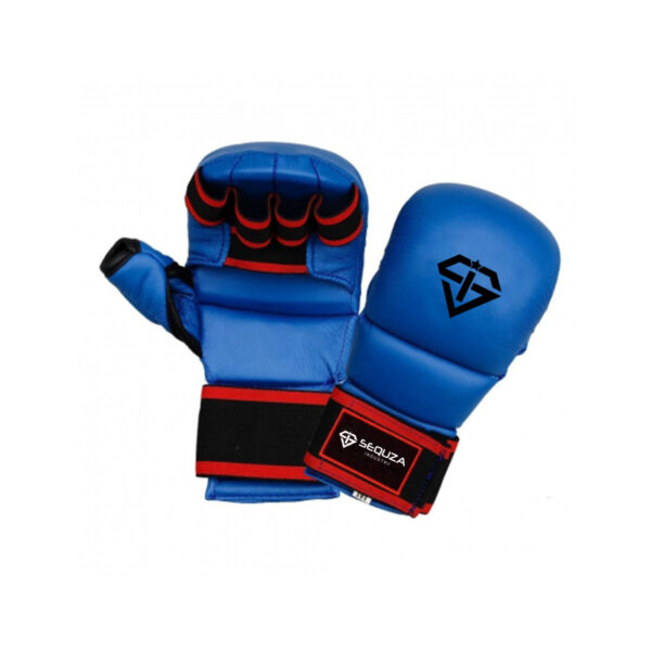 Karate Mitt