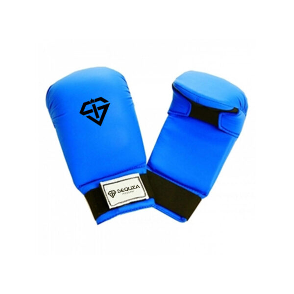 Karate Mitt