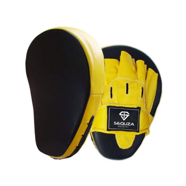 Focus Mitt